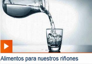 Alimentos que cuidan nuestros riñones. Alimentos que cuidan nuestros riñones.