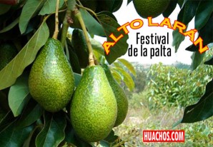Primer Festival de la Palta se realizará en el distrito de Alto Larán | Chincha Primer Festival de la Palta se realizará en el distrito de Alto Larán | Chincha