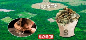 Los cultivos de coca en Colombia aumentaron más del 50% en 2016 Los cultivos de coca en Colombia aumentaron más del 50% en 2016