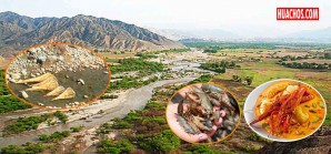 ¡Camarones como cancha! Bonanza de los deliciosos crustáceos en Palpa - VIDEO ¡Camarones como cancha! Bonanza de los deliciosos crustáceos en Palpa - VIDEO