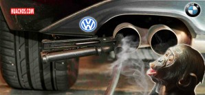 Volkswagen, BMW y Daimler sometieron a 10 monos durante 4 horas a respirar gases diésel Volkswagen, BMW y Daimler sometieron a 10 monos durante 4 horas a respirar gases diésel