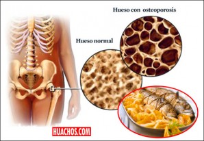 Para tener huesos sólidos y fuertes no hay nada mejor que comer pescado Para tener huesos sólidos y fuertes no hay nada mejor que comer pescado