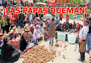 Paperos no se contentan con «caramelos ya chupados». Rechazan acuerdo con Minagri Paperos no se contentan con «caramelos ya chupados». Rechazan acuerdo con Minagri