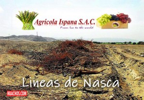 Empresa agroindustrial quiere utilizar las legendarias Líneas de Nasca como acequia Empresa agroindustrial quiere utilizar las legendarias Líneas de Nasca como acequia
