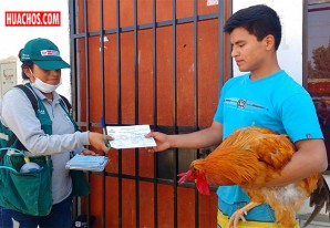 Campaña de vacunación contra enfermedad Newcastle en Chincha Campaña de vacunación contra enfermedad Newcastle en Chincha
