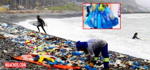 Señores comerciantes, hay productos alternativos a las bolsas de plástico Señores comerciantes, hay productos alternativos a las bolsas de plástico