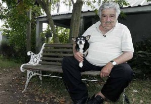 El reposo del guerrero o del ex-guerrillero, con su perra Manuela en le patio de su casa El reposo del guerrero o del ex-guerrillero, con su perra Manuela en le patio de su casa