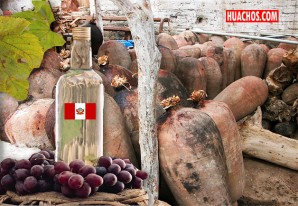 Con levaduras nativas el pisco peruano pasa al nivel de calidad superior Con levaduras nativas el pisco peruano pasa al nivel de calidad superior