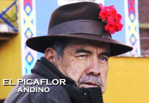 Va de pueblo en pueblo picando flores por su rica miel Va de pueblo en pueblo picando flores por su rica miel