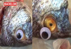 Clausuran pescadería que ponía ojos falsos a los pescados para ocultar su mal estado Clausuran pescadería que ponía ojos falsos a los pescados para ocultar su mal estado