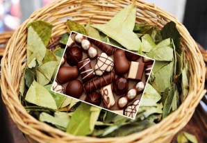 ¡Buena nueva! La hoja de coca podría sustituir el azúcar en el chocolate ¡Buena nueva! La hoja de coca podría sustituir el azúcar en el chocolate
