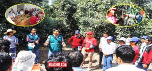 MINAGRI fomenta exportación de palta Hass entre pequeños productores de Huancavelica MINAGRI fomenta exportación de palta Hass entre pequeños productores de Huancavelica