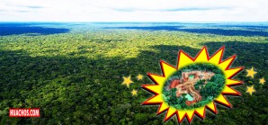 Perú registró 68 733 265 hectáreas de bosques húmedos amazónicos al 2016 Perú registró 68 733 265 hectáreas de bosques húmedos amazónicos al 2016