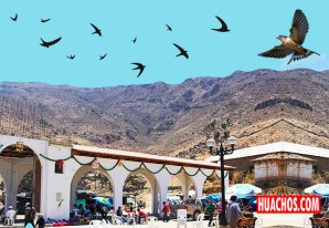 Chavín toma las precauciones del caso para evitar la presencia de «golondrinos» Chavín toma las precauciones del caso para evitar la presencia de «golondrinos»