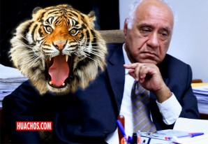 Una raya más al insaciable tigre del Poder Judicial del Perú | VIDEO Una raya más al insaciable tigre del Poder Judicial del Perú | VIDEO