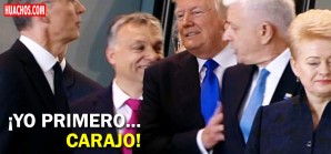 La ley del más fuerte al estado puro - VIDEO La ley del más fuerte al estado puro - VIDEO