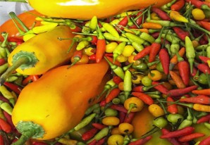 En busca del ají perdido En busca del ají perdido