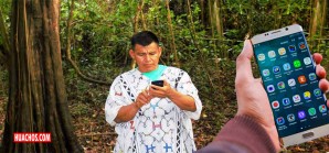 Las nuevas tecnologías de la información al servicio de los bosques | VIDEO Las nuevas tecnologías de la información al servicio de los bosques | VIDEO