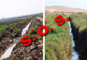 Tomarán medidas para proteger los humedales de Ica y Huancavelica Tomarán medidas para proteger los humedales de Ica y Huancavelica