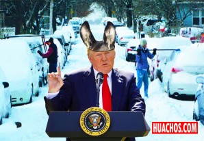 El hombre este no solo es violento y pedante sino también ignorante El hombre este no solo es violento y pedante sino también ignorante